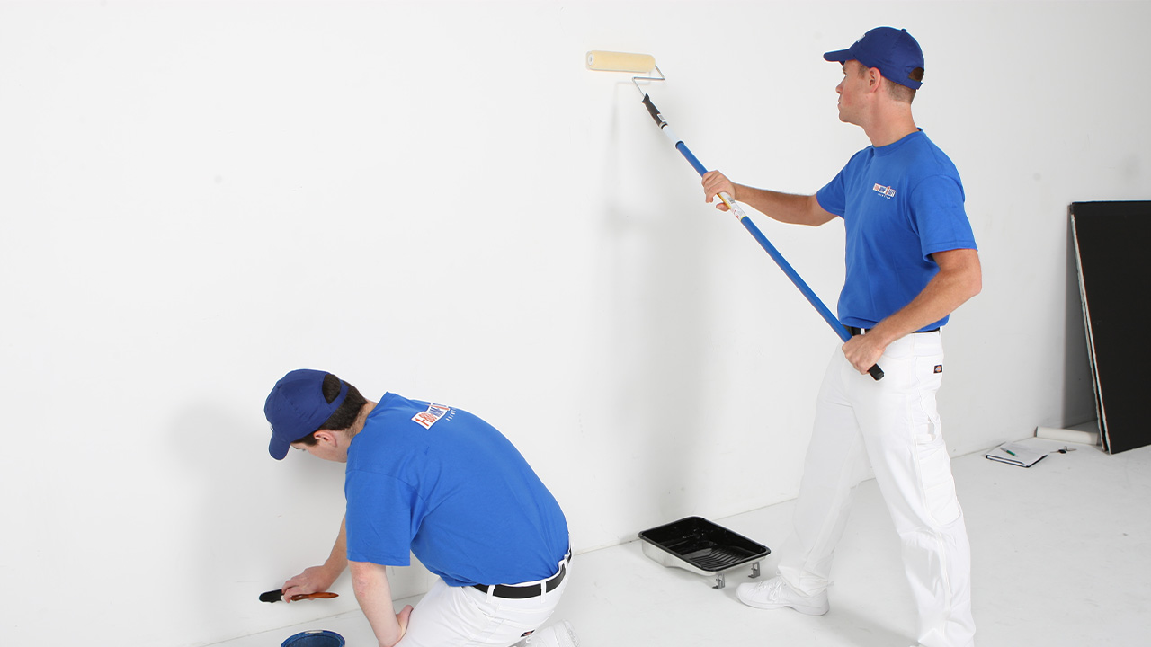 Gömeç Boya Badanacı